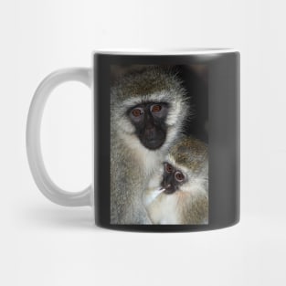 Primate - Black-faced Vervet Monkey, Kenya. Mug